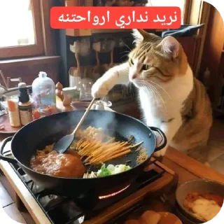 Video sticker 🍲 محطة الفائضين |نريد نعيش |