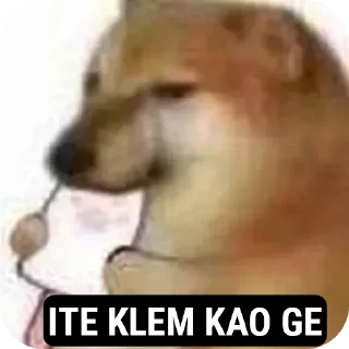 Telegram sticker 😏 Kutta stickers🐕 :: by @PRIMExI :: @fStikBot
