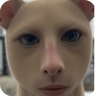 Telegram sticker 🤲 Floptok heaven by::@Etthell