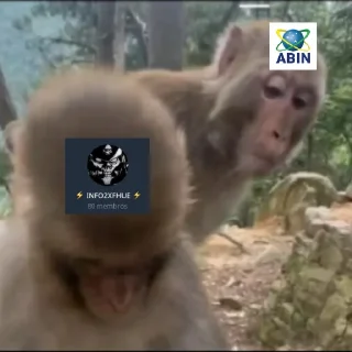 Telegram sticker 👀 RapePack1