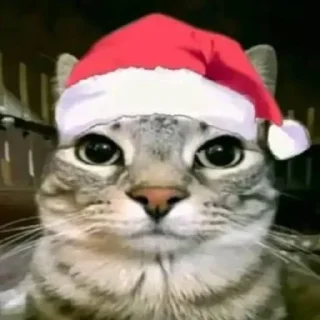 Telegram sticker 😐 RapePack1