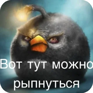 Video sticker 👍 Сидим не рыпаемся