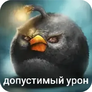 Telegram sticker 🐦 Сидим не рыпаемся