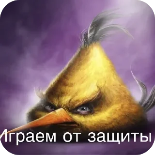 Video sticker 🖼 Сидим не рыпаемся