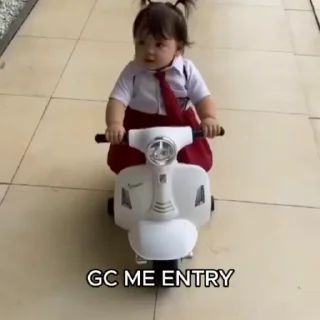 Video sticker 👀 Kɪᴛᴛᴜ's ᴘᴀᴄᴋ (ʙᴀʀғɪ) @ngl_obsessed