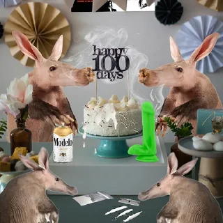 Telegram stiker 🎉 $VARK