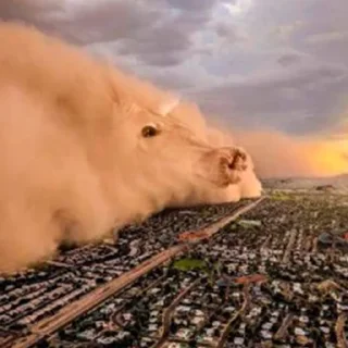Telegram stiker ⛈️ $VARK
