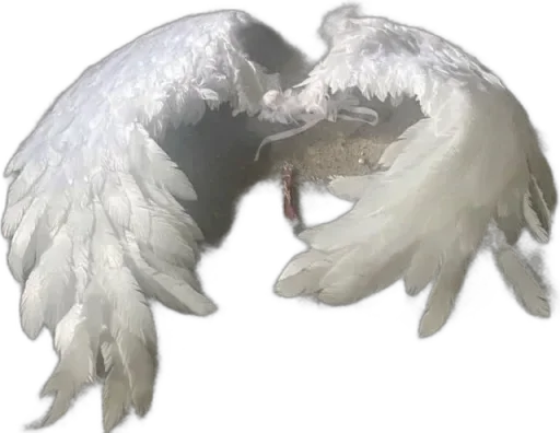 Telegram sticker 🌟 Angel egg