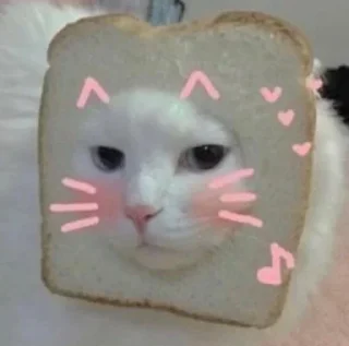 Telegram sticker 😳 BooBoo :: @fStikBot