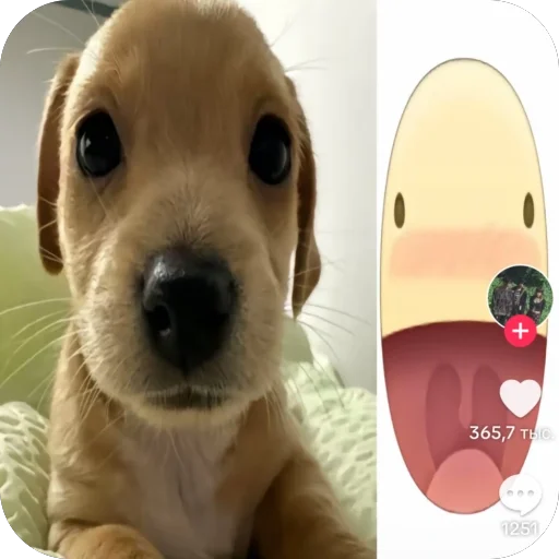 Sticker 🫥 Шкебедедоп