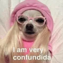 Телеграм стикер 🌵 DOGS 🐶