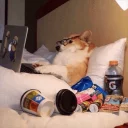 Телеграм стикер 🌵 DOGS 🐶