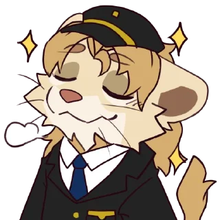 Video sticker 👨‍✈️ Rialto