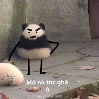 Sticker 😤 Panda