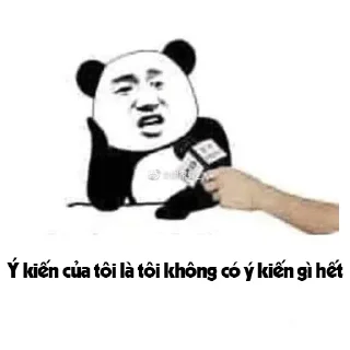 Video sticker 😛 Panda