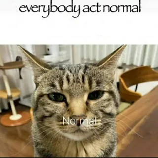 Video sticker 👤 @Hambutnoburger 2