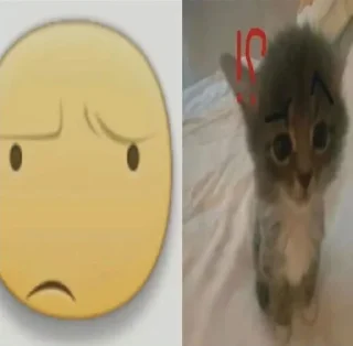 Telegram sticker ⁉️ @Hambutnoburger 2