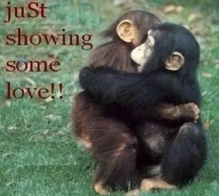 Telegram sticker 🫂 @Hambutnoburger 2