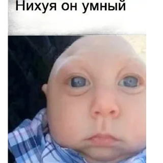 Video sticker 👍 бубылда