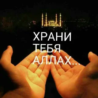 Telegram sticker 😇 бубылда