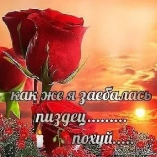 Telegram sticker 😔 бубылда