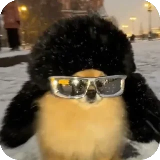 Telegram sticker 🫥 @unoacass