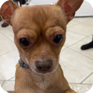 Video sticker 🫥 @unoacass