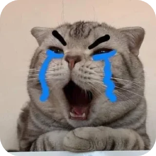 Video sticker 🔳 By Eaint