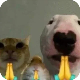 Sticker 🧸 By Eaint