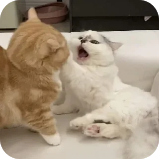 Telegram sticker 🔳 By Eaint