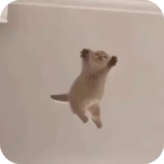 Telegram sticker 🐦 By Eaint