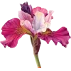 Sticker 🤩 Nature @emojidi