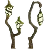 Video sticker 🌟 Nature @emojidi