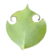 Sticker 🌱 Nature @emojidi