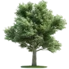 Sticker 🤩 Nature @emojidi
