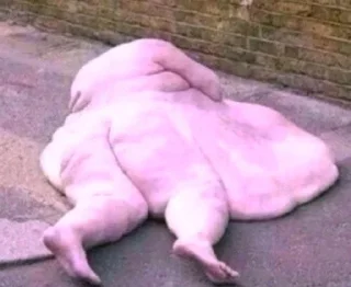 Telegram sticker 🤩 Хуйня