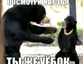 Telegram sticker 🤩 Хуйня