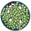 Video sticker 🎾 Baeo 1 - @Baeopup