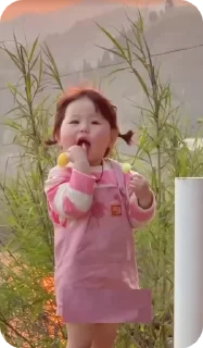 Video sticker 🌟 @nguhanh69 3 :: @fStikBot