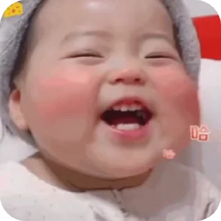 Video sticker 🌟 @nguhanh69 3 :: @fStikBot