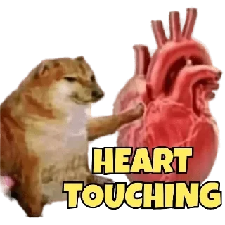 Телеграм стикер 🫀 ꧁𓊈❤️𒆜𝐉͢ᴀͥ͢sᷧs͓ⷨ𒆜❤️𓊉꧂s kang pack