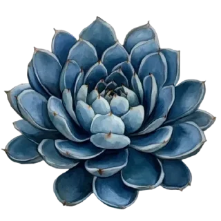 Telegram sticker 🌸 @Madre_Tierra_5D Flores