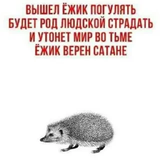 Telegram sticker 🐱 Всякое