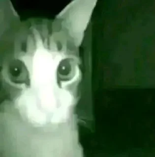 Video sticker 🙂 Stickers @El_Elviz_Kaiser pt 5