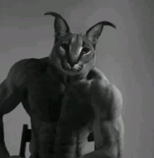 Telegram sticker 🙂 Stickers @El_Elviz_Kaiser pt 5