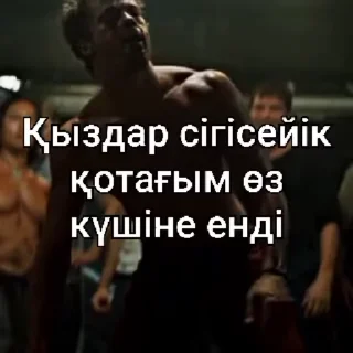 Video sticker 😎 Стикеры @stickrubot @textmeru_bot
