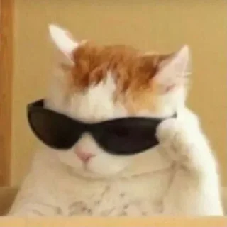 Телеграм стикер 😎 Μαγαηκ ⌬
