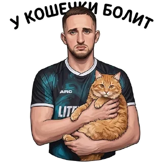 Video sticker 🐈 ЛИТВИН от @hypestickbot