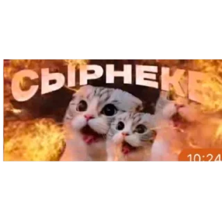 Telegram sticker ❤ Окак