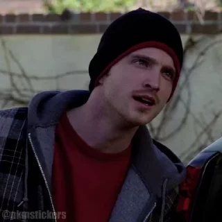 Video sticker 🫤 Jesse Pinkman @pkmstickers
